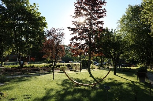 Blick über den Park der Parkresidenz am Germanswald mit altem Baumbestand und einer geschwungenen Holzskulptur auf der Wiese